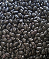 Shelling Beans