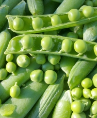 Peas and Pea Pods
