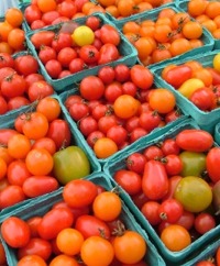 Small-Type Tomatoes