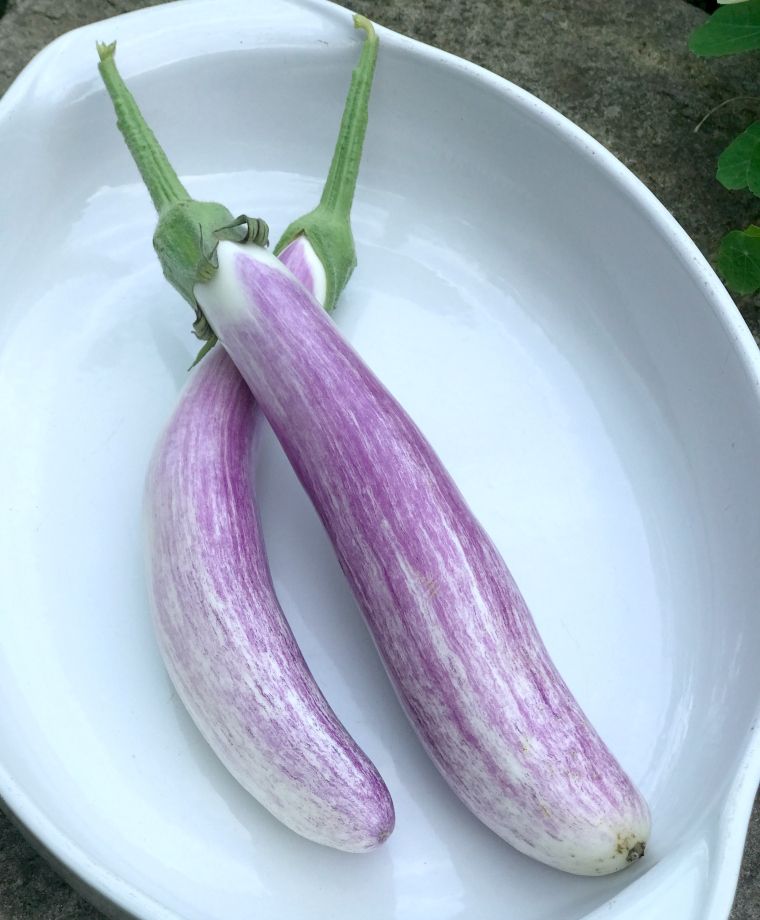 Asian Eggplants