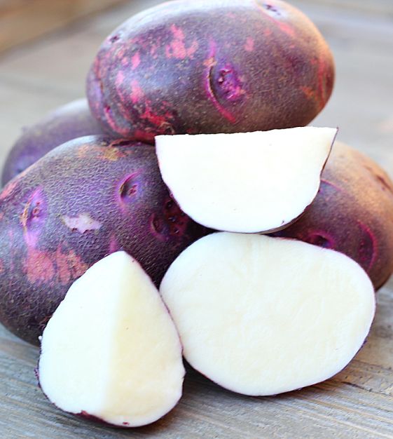 Purple Viking Potato John Scheepers Kitchen Garden Seeds