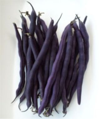 Amethyst Purple Filet Bean