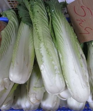 Michihili Chinese Cabbage