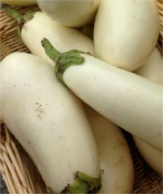 Bianca di Imola Eggplant
