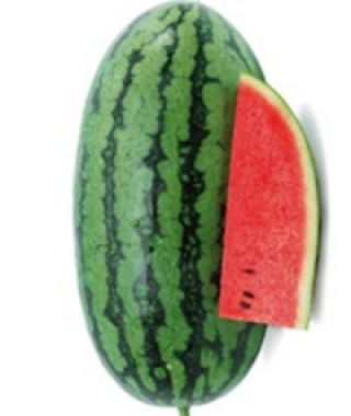 Sweet Beauty Watermelon