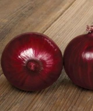 Vino Tinto Red Onion