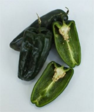 Poblano/Ancho Chile Pepper