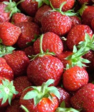 Fresca Strawberry