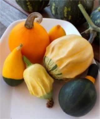 The Small Fruited Ornamental Gourd Mixture