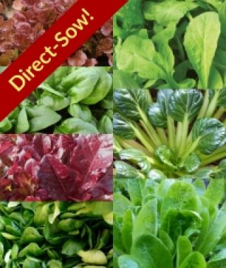The Spring Greens Direct-Sow Salad Garden