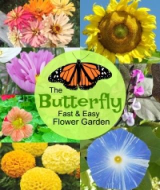 The Butterfly Fast & Easy Flower Garden