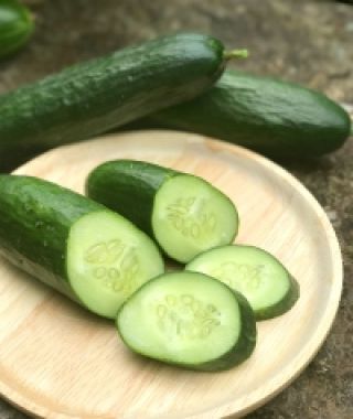 Damascus Cucumber
