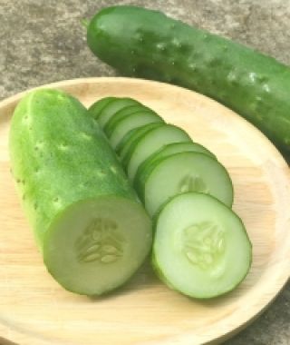 Tanja Slicing Cucumber