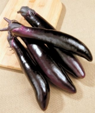 Shikou Eggplant