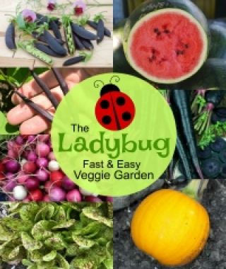The Ladybug Fast & Easy Veggie Garden
