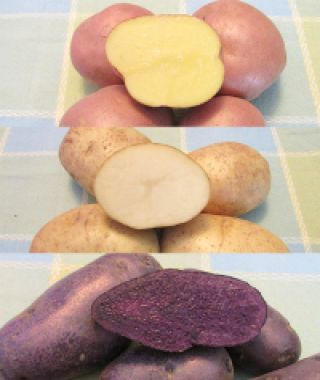 The Red, White & Blue Potato Sampler