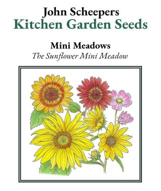 The Sunflower Mini Meadow