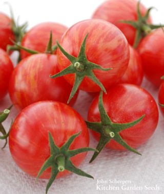 Artisan Pink Bumblebee Cherry Tomato 