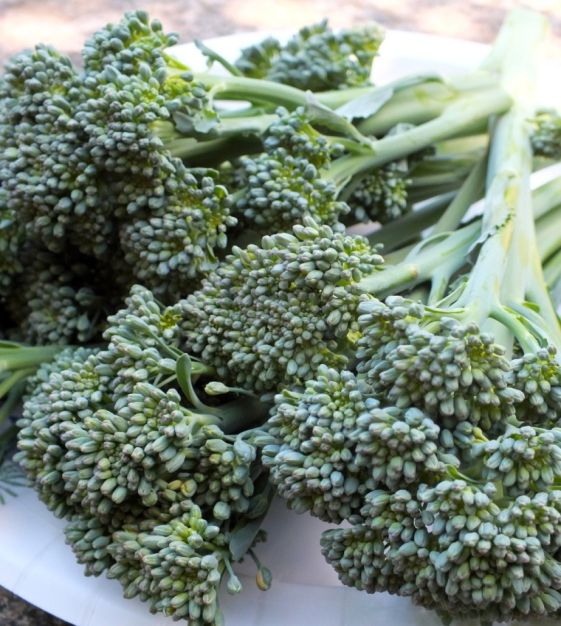 How To Grow Baby Broccoli