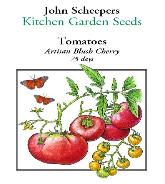 Kitchen Garden Seeds Artisan Blush Tomato - Thumbnail 2