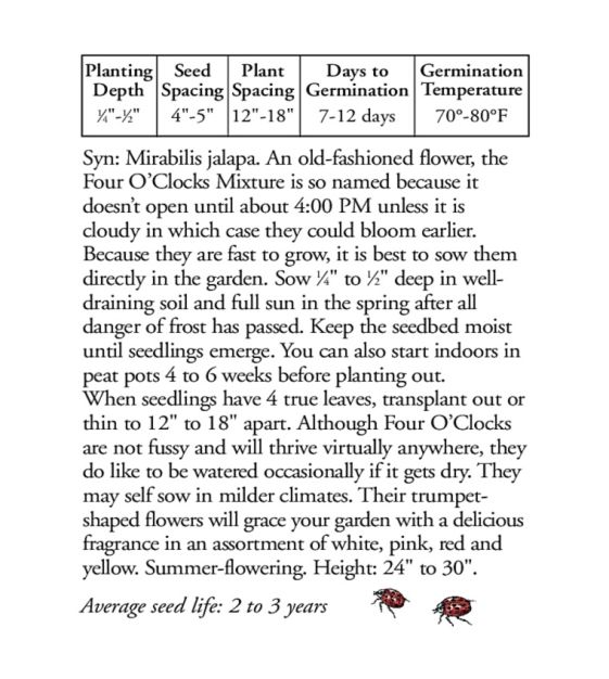 The Four O'Clocks Mixture | John Scheepers Kitchen Garden Seeds