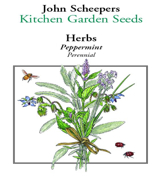 ペパーミントヨーゼフ Peppermint | John Scheepers Kitchen Garden Seeds