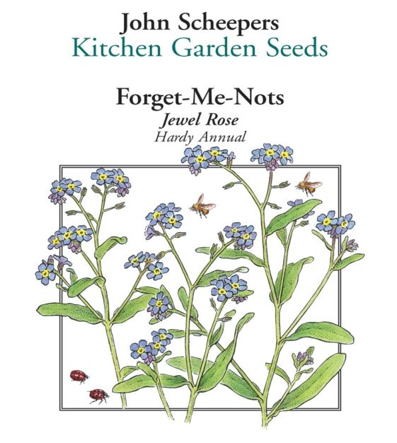 Jewel Rose Forget-Me-Nots | John Scheepers Kitchen Garden Seeds