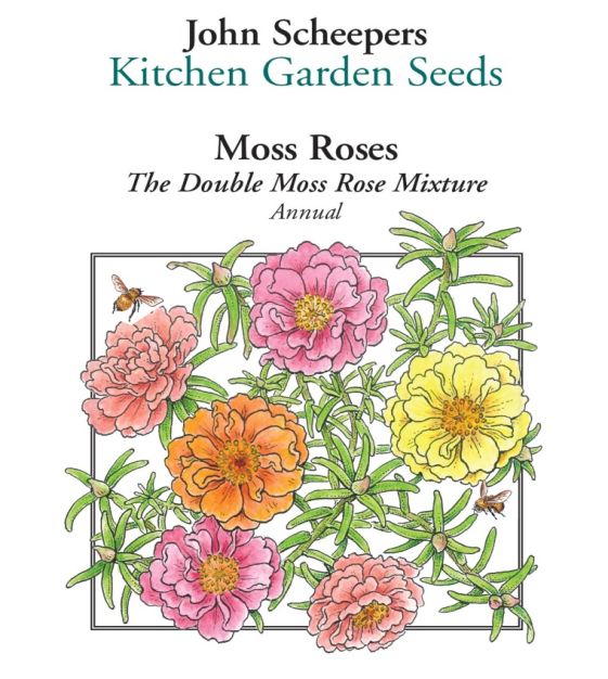 The Double Moss Rose Mixture | John Scheepers Kitchen Garden Seeds