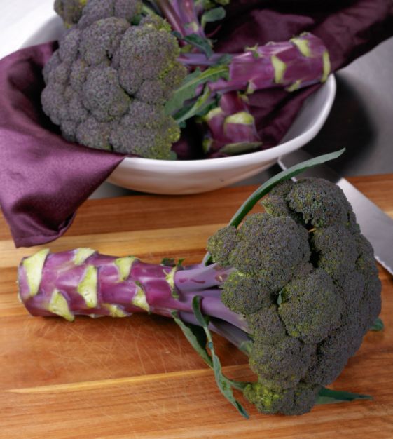 Purple Magic Broccoli | John Scheepers Kitchen Garden Seeds