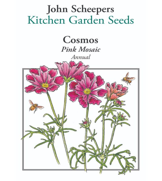 Pink Mosaic Cosmos | John Scheepers Kitchen Garden Seeds