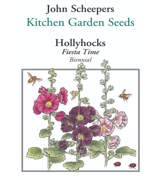 Fiesta Time Hollyhock | John Scheepers Kitchen Garden Seeds