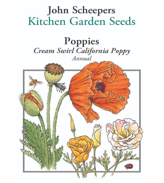 Cream Swirl California Poppy | John Scheepers Kitchen Garden Seeds
