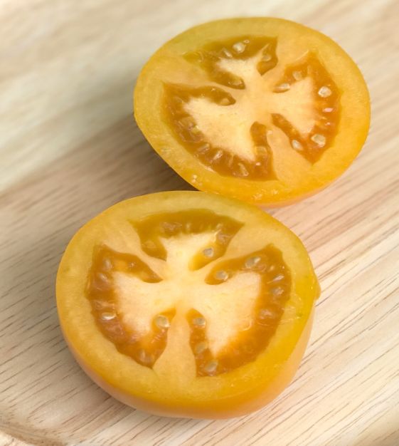 Mandarin Cross Tomato | John Scheepers Kitchen Garden Seeds