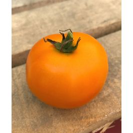 Orange Pixie Large Cherry Tomato | John Scheepers Kitchen Garden Seeds