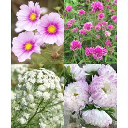 The Romantic Bouquet Garden | John Scheepers Kitchen Garden Seeds