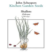 Zebrune Shallot (100 Days) – Pinetree Garden Seeds