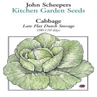 Late Flat Dutch Storage Cabbage | John Scheepers Kitchen Garden Seeds