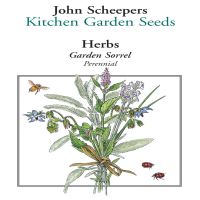 Garden Sorrel | John Scheepers Kitchen Garden Seeds