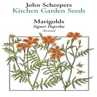 Paprika Signet Marigold | John Scheepers Kitchen Garden Seeds