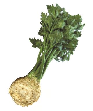 Mars Celeriac
