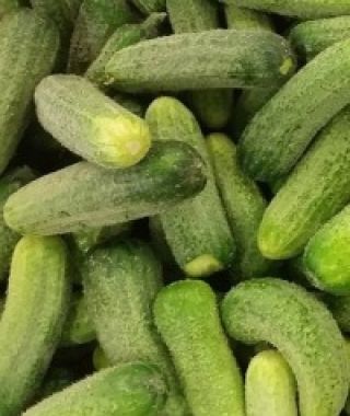 Parisienne Cornichon de Bourbonne Cucumber