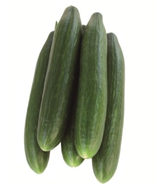 Bella Cucumber