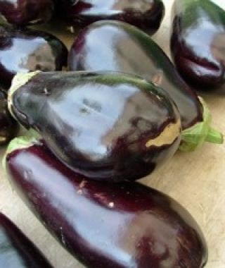 Black Beauty Eggplant