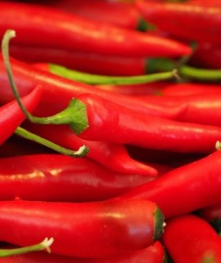 Thai Dragon Hot Chile Pepper