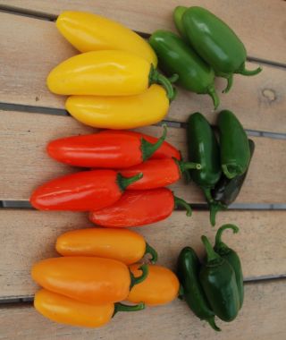 Spice Jalapeno Chile Pepper Mixture