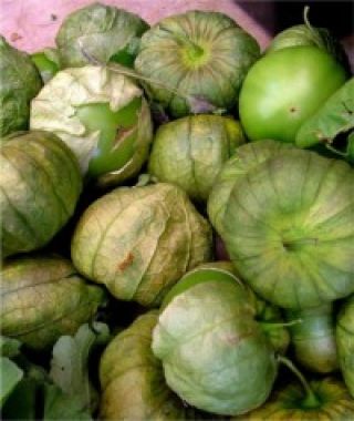 Toma Verde Tomatillo