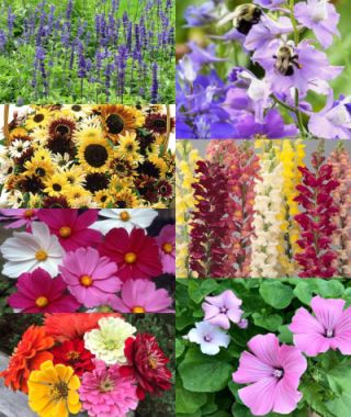 The Irresistible Cutting Flower Garden