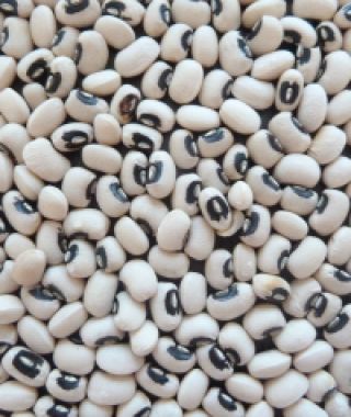 Black-Eyed Peas