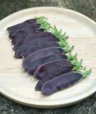 Shiraz Snow Pea Pods