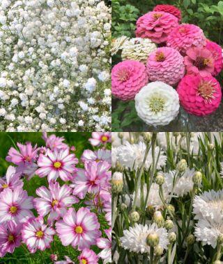 The Petite Bouquet Garden